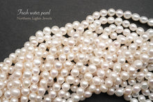 画像をギャラリービューアに読み込む, 淡水パール パフコイン 雪見だいふく 白