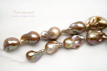 画像をギャラリービューアに読み込む, (15粒)淡水パール 天然色 ゴールド〜パープル オイスターバロック 25×17-29×19mm