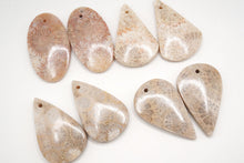 Load image into Gallery viewer, （#51-55）フォシルコーラル　穴あき　ペアルース　カボション
