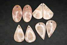 Load image into Gallery viewer, （#51-55）フォシルコーラル　穴あき　ペアルース　カボション
