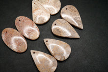 Load image into Gallery viewer, （#51-55）フォシルコーラル　穴あき　ペアルース　カボション
