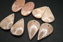 Load image into Gallery viewer, （#51-55）フォシルコーラル　穴あき　ペアルース　カボション
