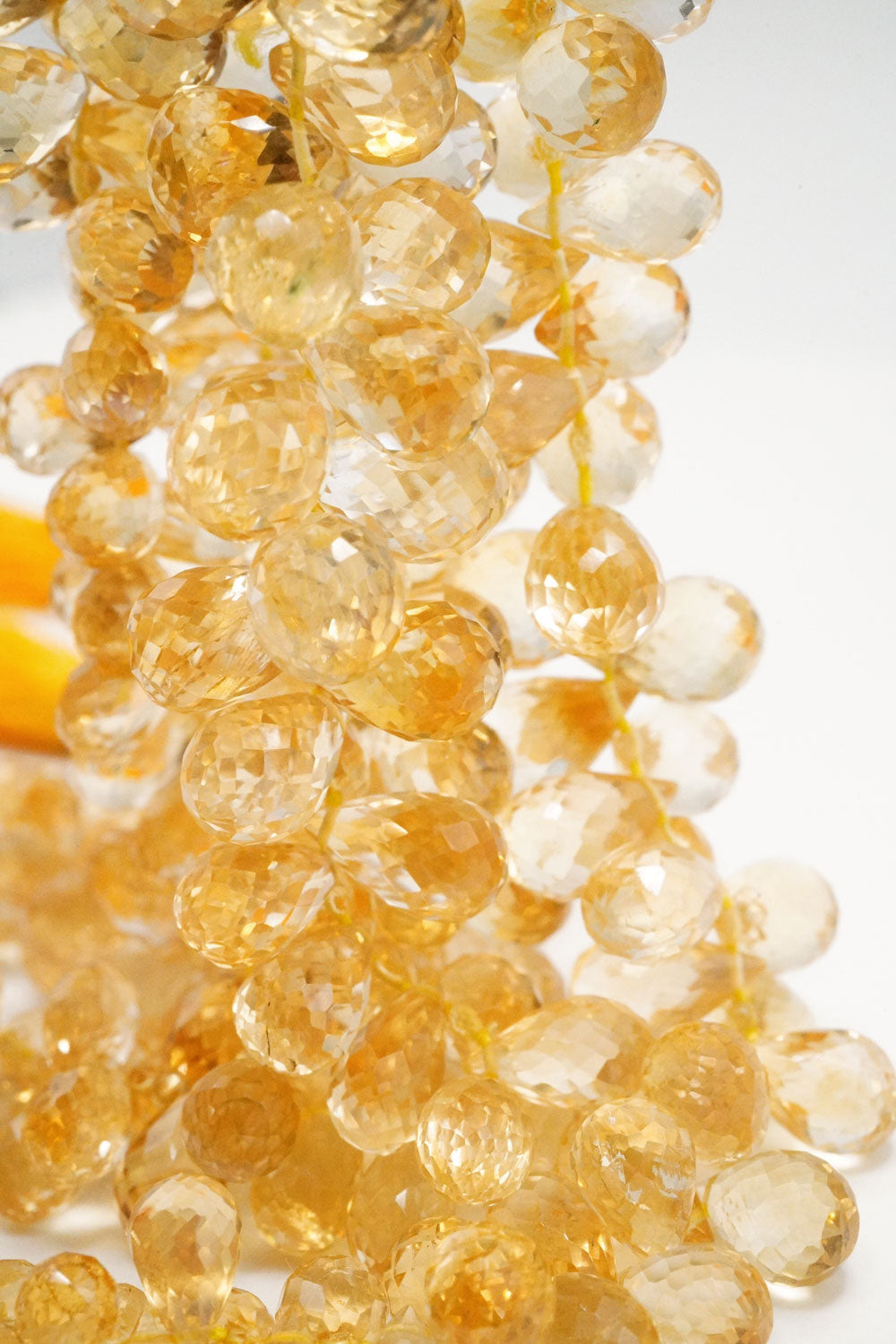 DSC00323_2048x.jpg?v=1761192294