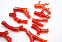 画像をギャラリービューアに読み込む, （No.1-16）高知沖産　赤枝　珊瑚　ルース　無穴　コーラル　血赤
