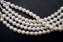 Load image into Gallery viewer, (1/4, half-strand, 1-strand) Akoya pearls from Ise-Shima, horn, poppy, untoned, natural gray
