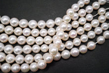 画像をギャラリービューアに読み込む, あこや真珠　41cm　ラウンド　ホワイト　無調色　サイズグラデーション　パール
