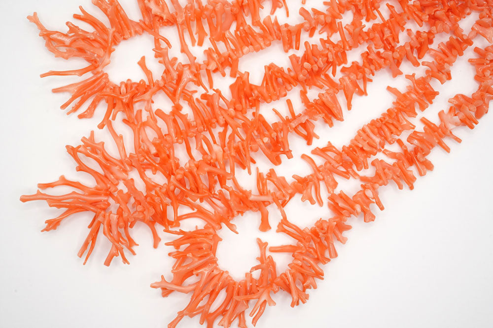 珊瑚　枝？ DSC06817_2048x.jpg?v=1746279748