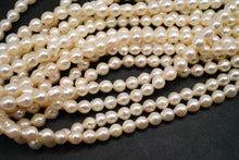 画像をギャラリービューアに読み込む, あこや真珠　15cm　バロック　シャンパンゴールドカラー
